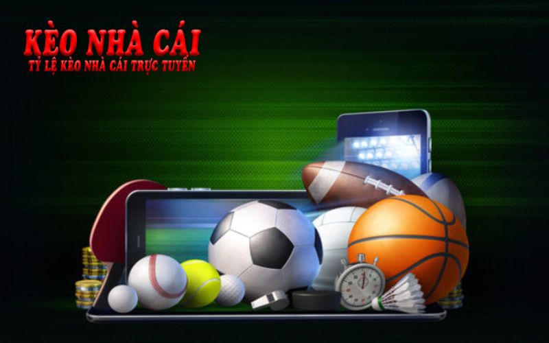Vsthethao.Blog - Kênh Cập Nhật Tin Tức Thể Thao Nhanh 24/7 6 Vsthethao cập nhật tin tức thể thao phong phú từ A đến Z