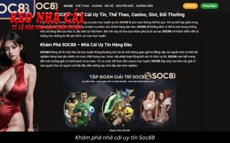 Hiểu biết tổng quan về nhà cái uy tín nhất