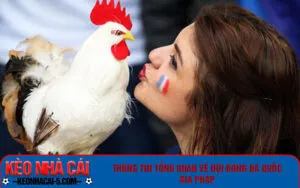 Thông tin tổng quan về đội bóng đá quốc gia Pháp